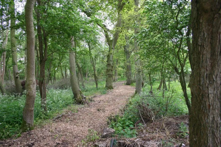 Kelsey Woods Country Park, Monksthorpe, PE23, photo 21