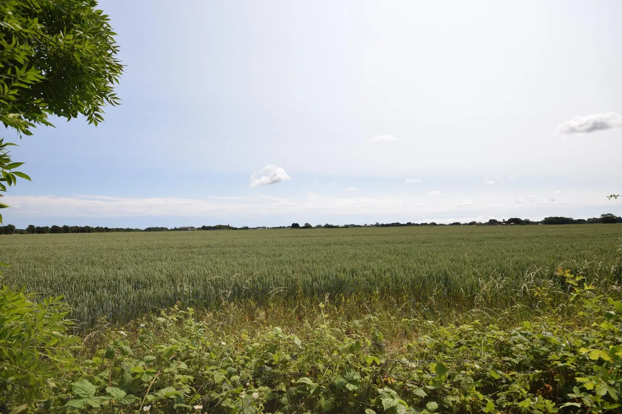 Kelsey Woods Country Park, Monksthorpe, PE23, photo 22