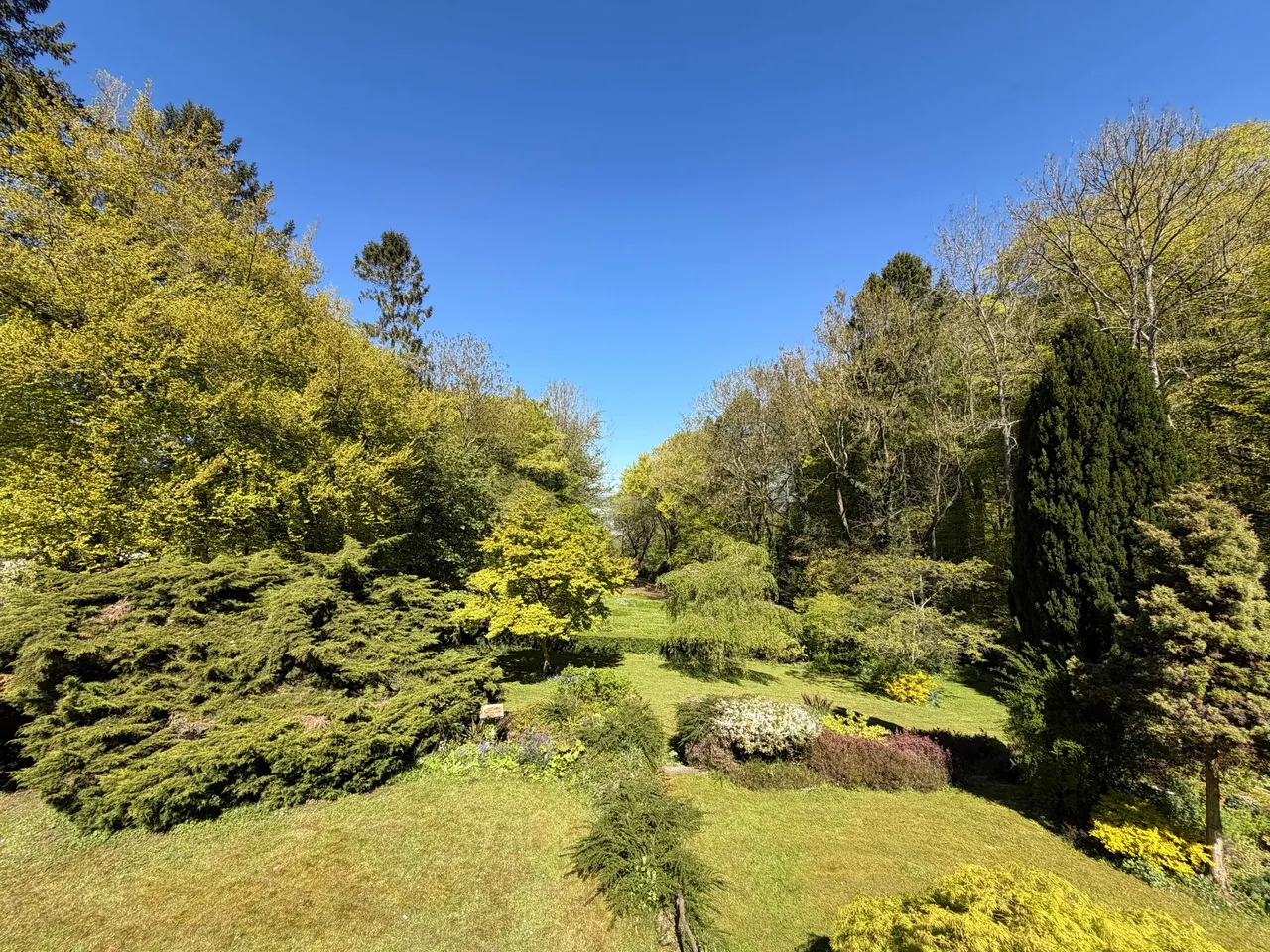 Leckhampton Hill, Cheltenham, GL53, photo 2