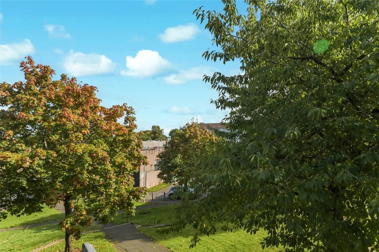 Lochiel Lane, Rutherglen, G73, photo 20