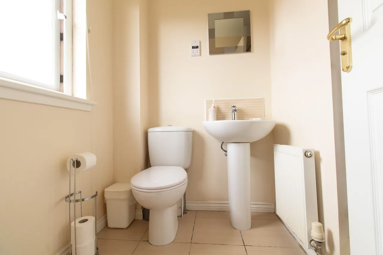 Bourtree Crescent, Law, Carluke, photo 10