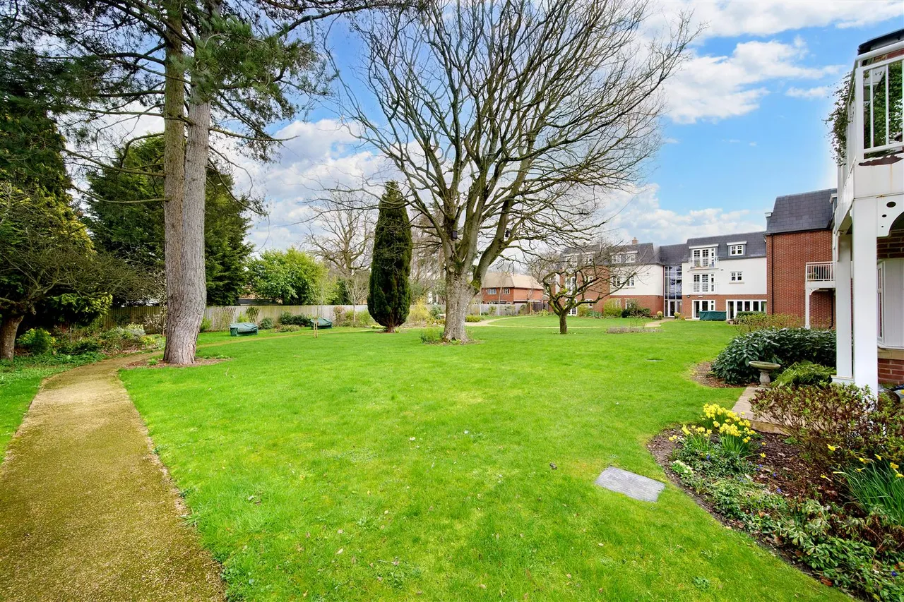 Blossomfield Road, Solihull, B91, photo 27