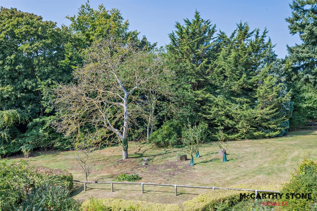Yarmouth Road, Thorpe St. Andrew, NR7, photo 9
