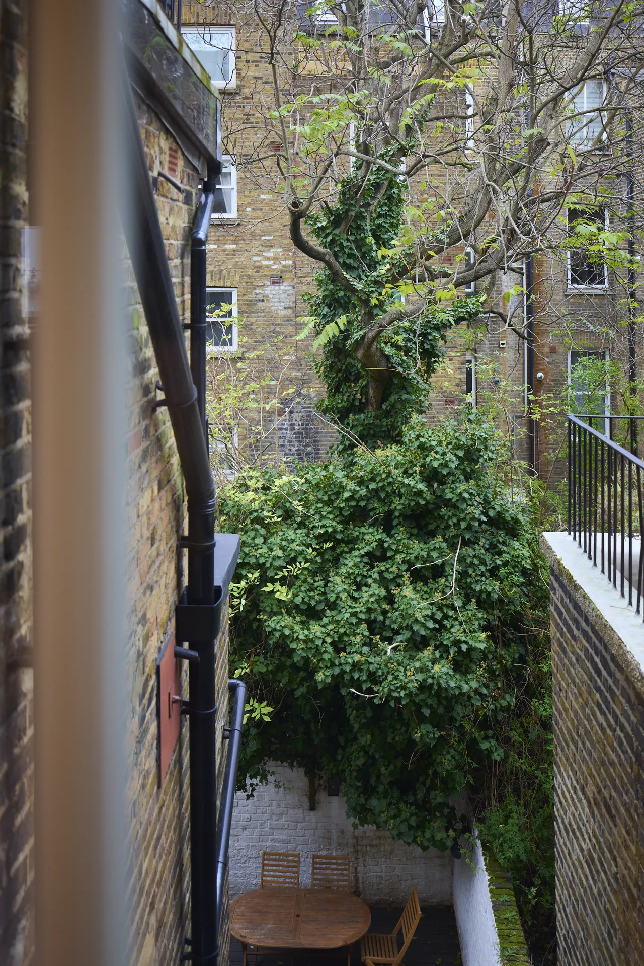 Westgate Terrace, London, SW10, photo 7