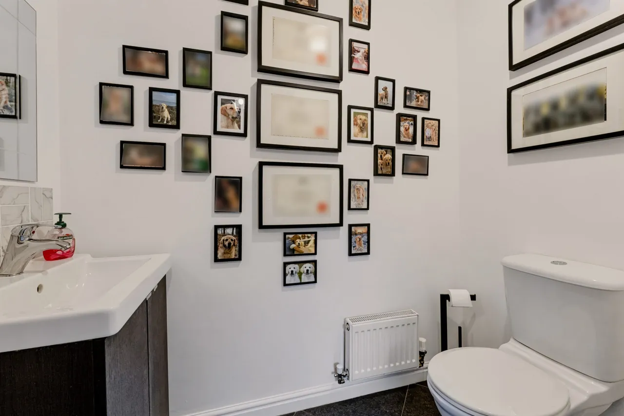 Thistle Avenue, Newton Mearns, photo 25
