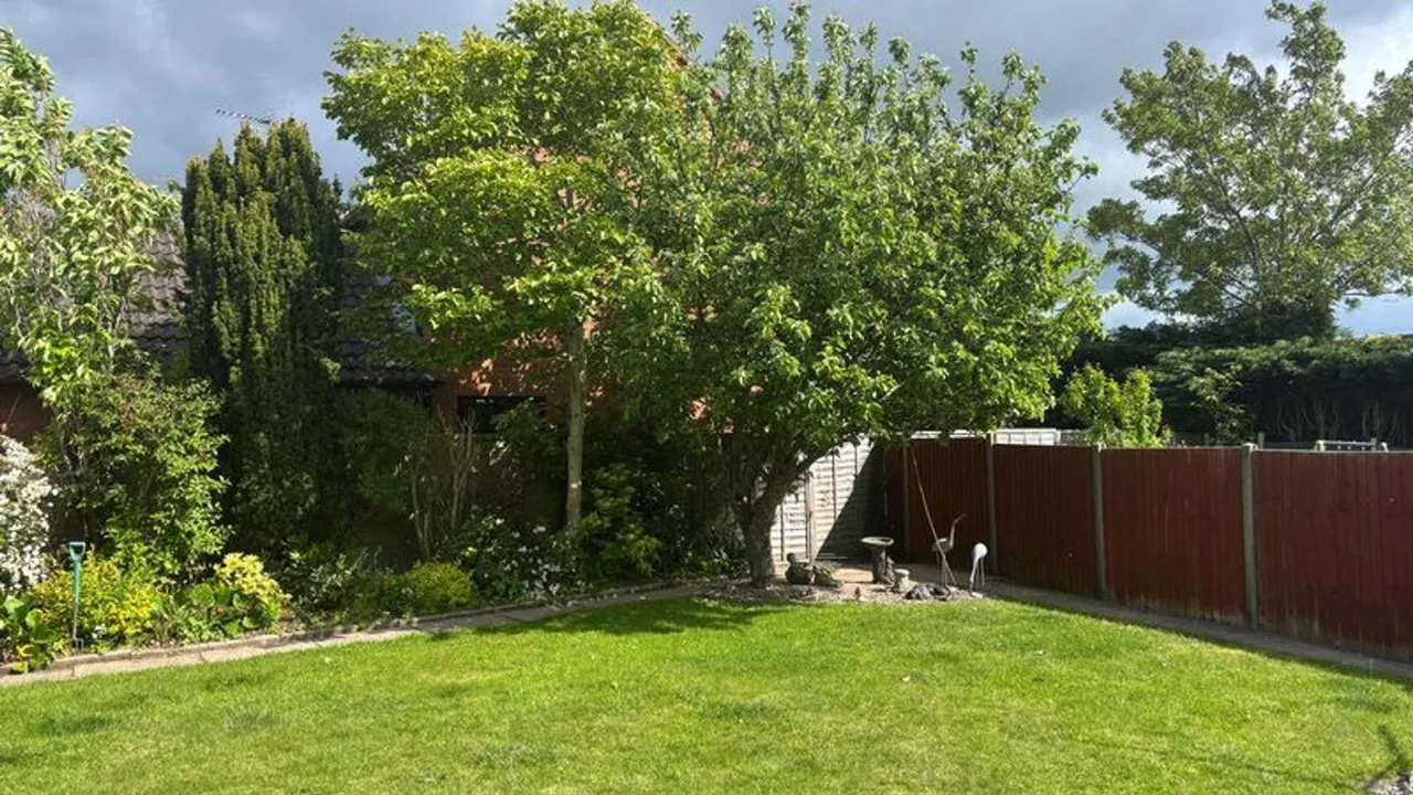Eldersfield Grove, Solihull, B91, photo 24