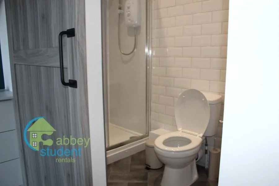 West Lorne Street, Chester, CH1, photo 12