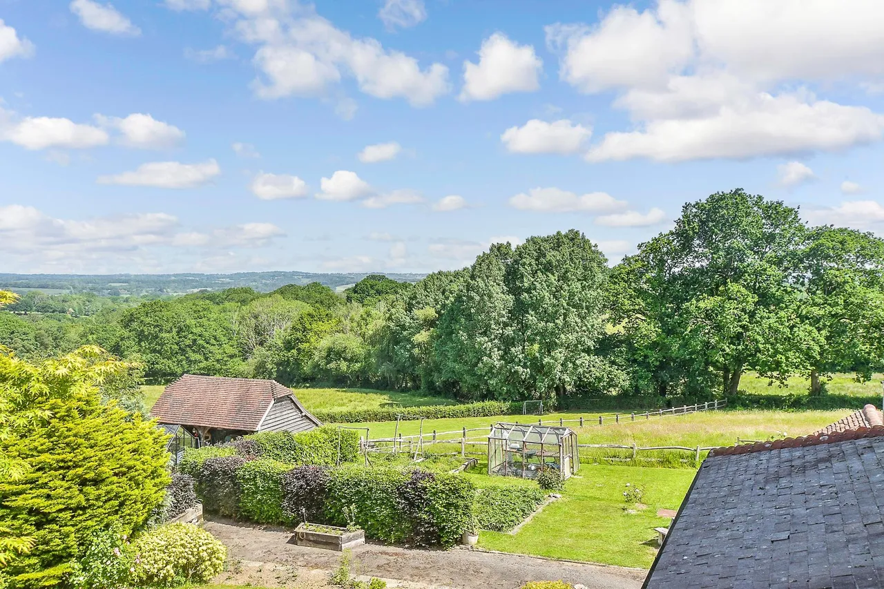 Fox's Farm, photo 20