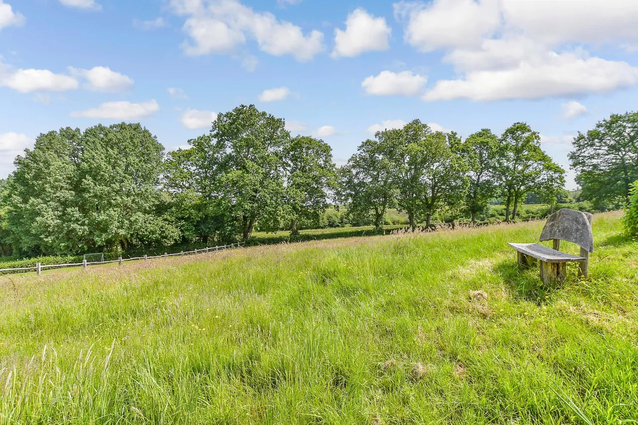 Fox's Farm, photo 4