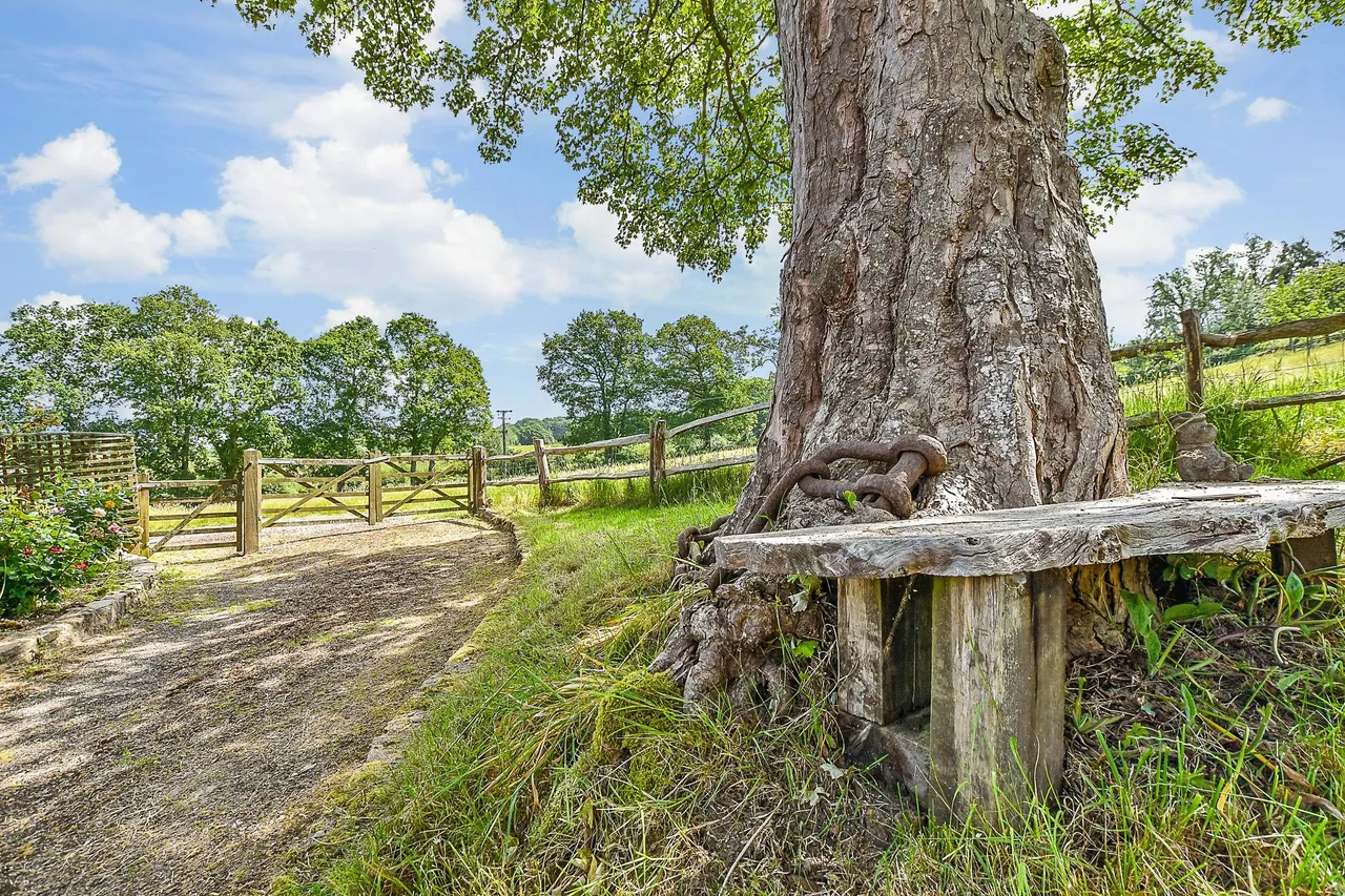 Fox's Farm, photo 27