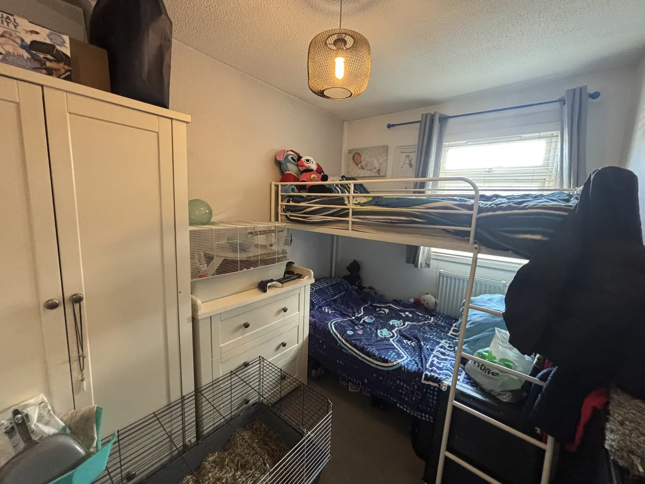 Whitethorn Close, NORWICH, photo 6