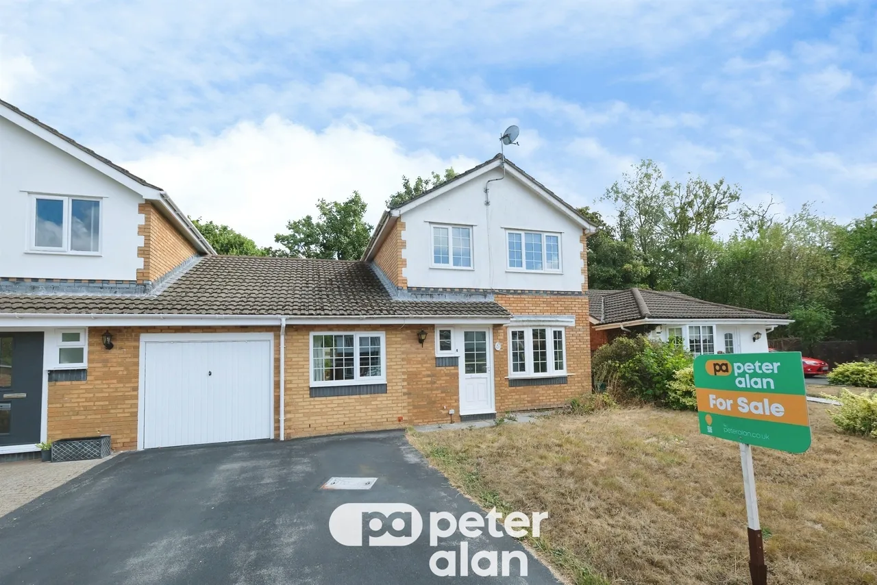 Grovers Field Mountain Ash, CF45, photo 2