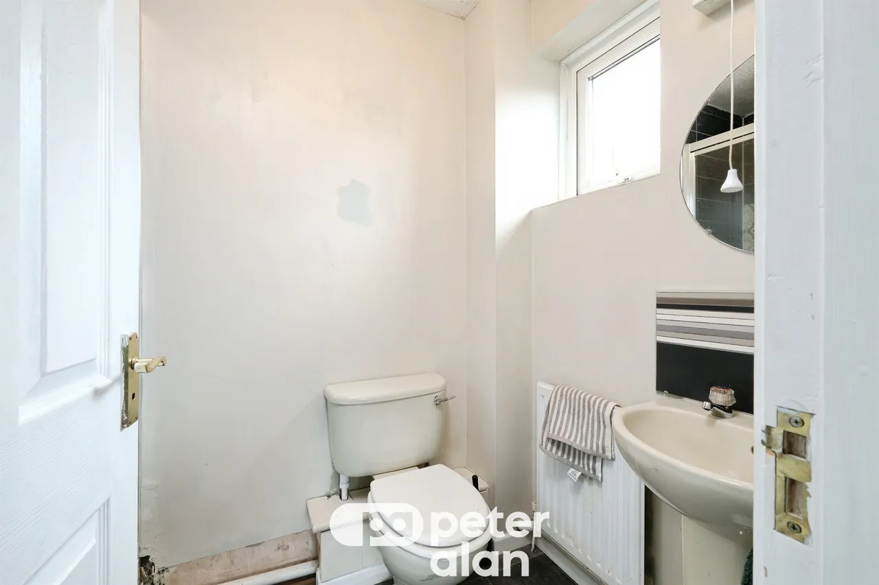 Grovers Field Mountain Ash, CF45, photo 14