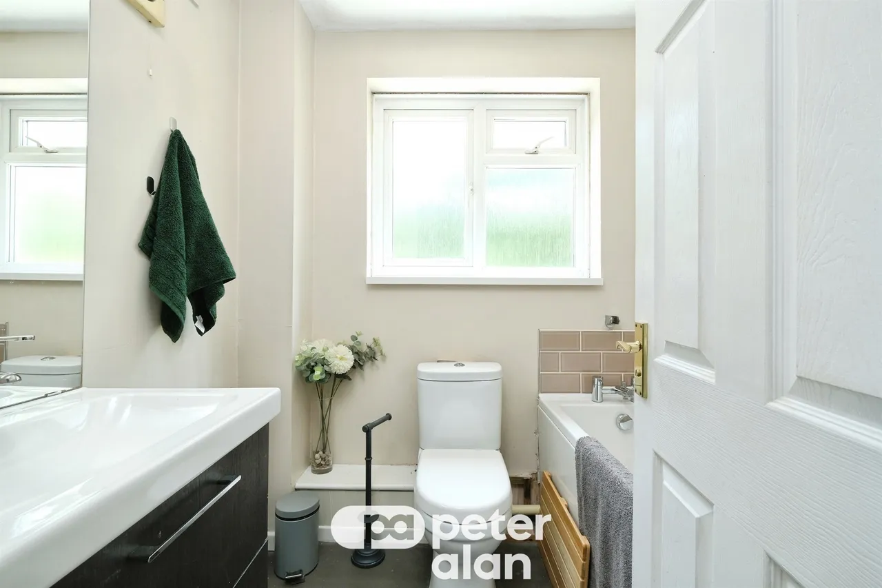 Grovers Field Mountain Ash, CF45, photo 16
