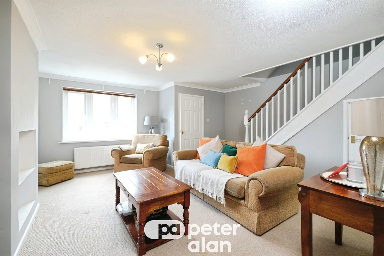 Grovers Field Mountain Ash, CF45, photo 4
