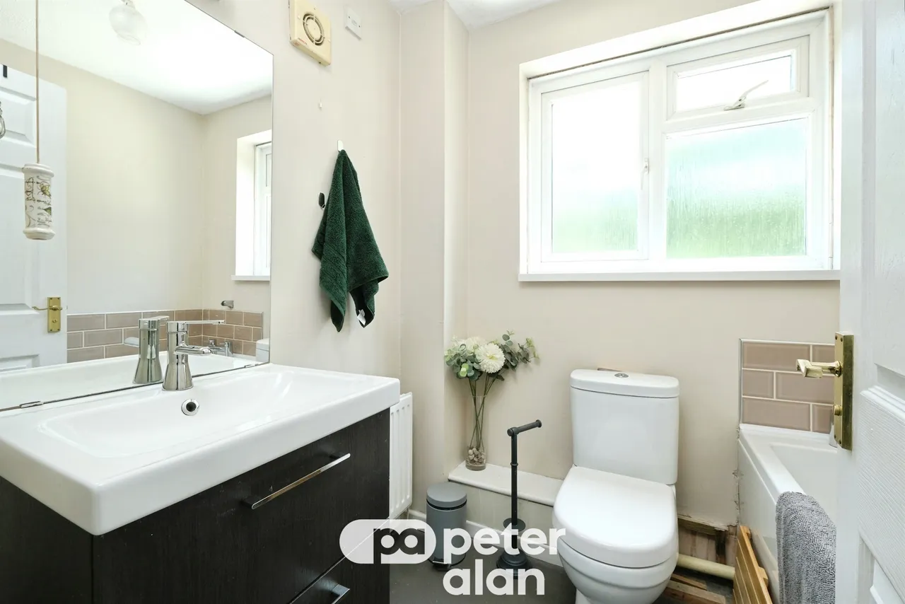 Grovers Field Mountain Ash, CF45, photo 15