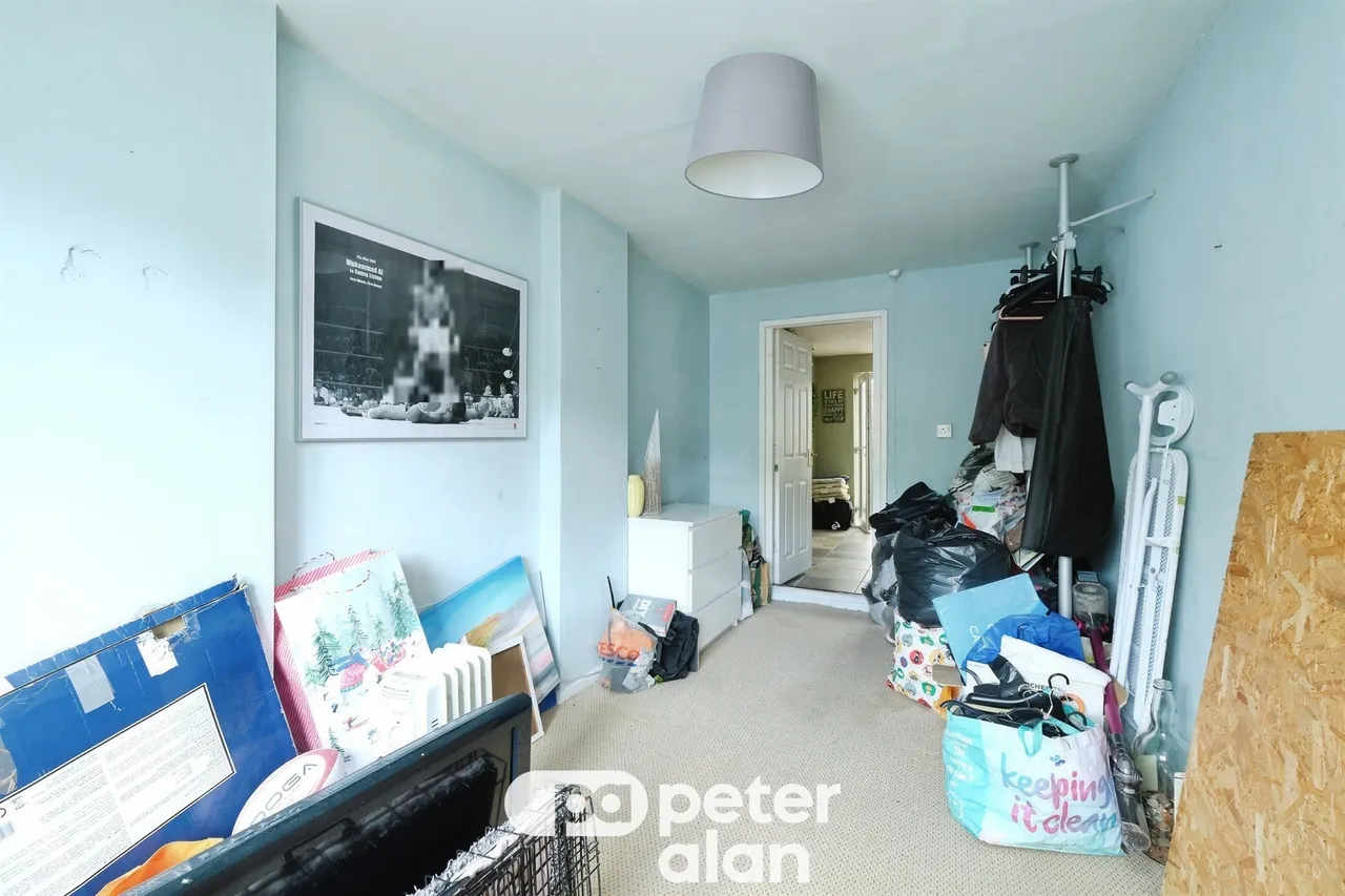 Grovers Field Mountain Ash, CF45, photo 12