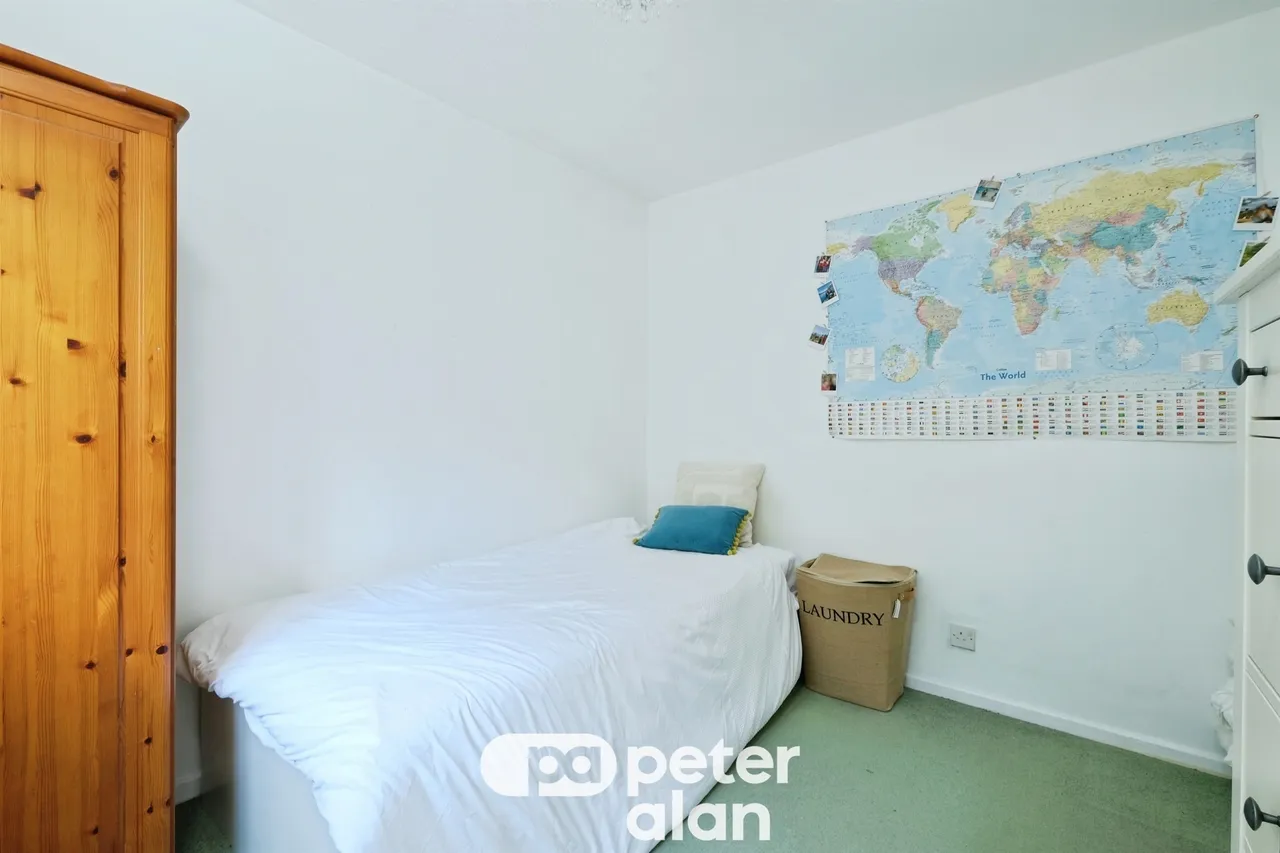 Grovers Field Mountain Ash, CF45, photo 18