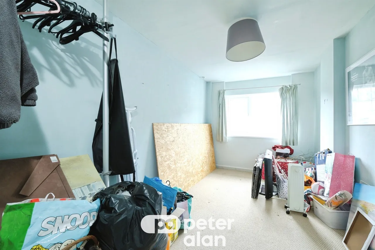 Grovers Field Mountain Ash, CF45, photo 13