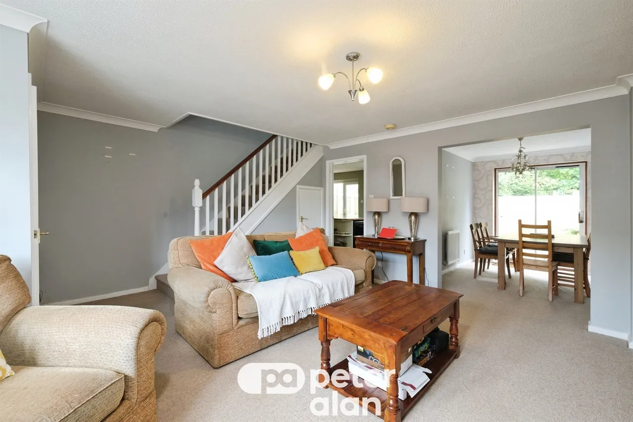 Grovers Field Mountain Ash, CF45, photo 3