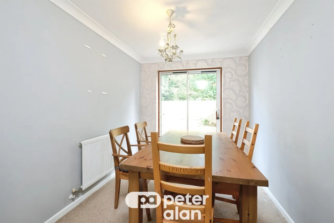 Grovers Field Mountain Ash, CF45, photo 6
