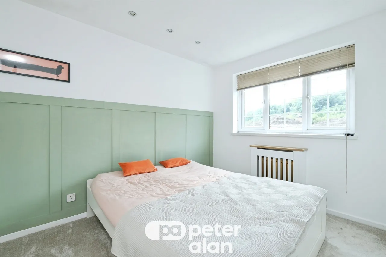 Grovers Field Mountain Ash, CF45, photo 20