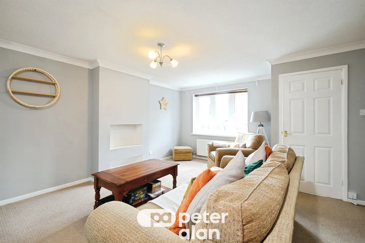 Grovers Field Mountain Ash, CF45, photo 5