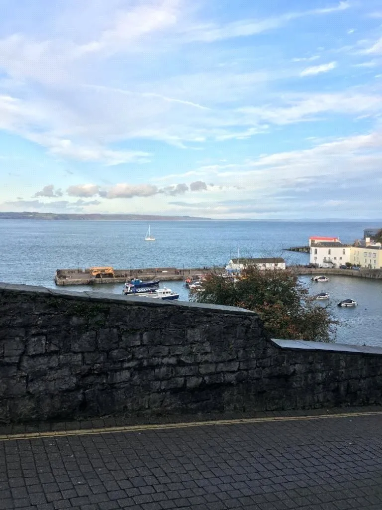 Crackwell Street, Tenby, SA70, photo 19