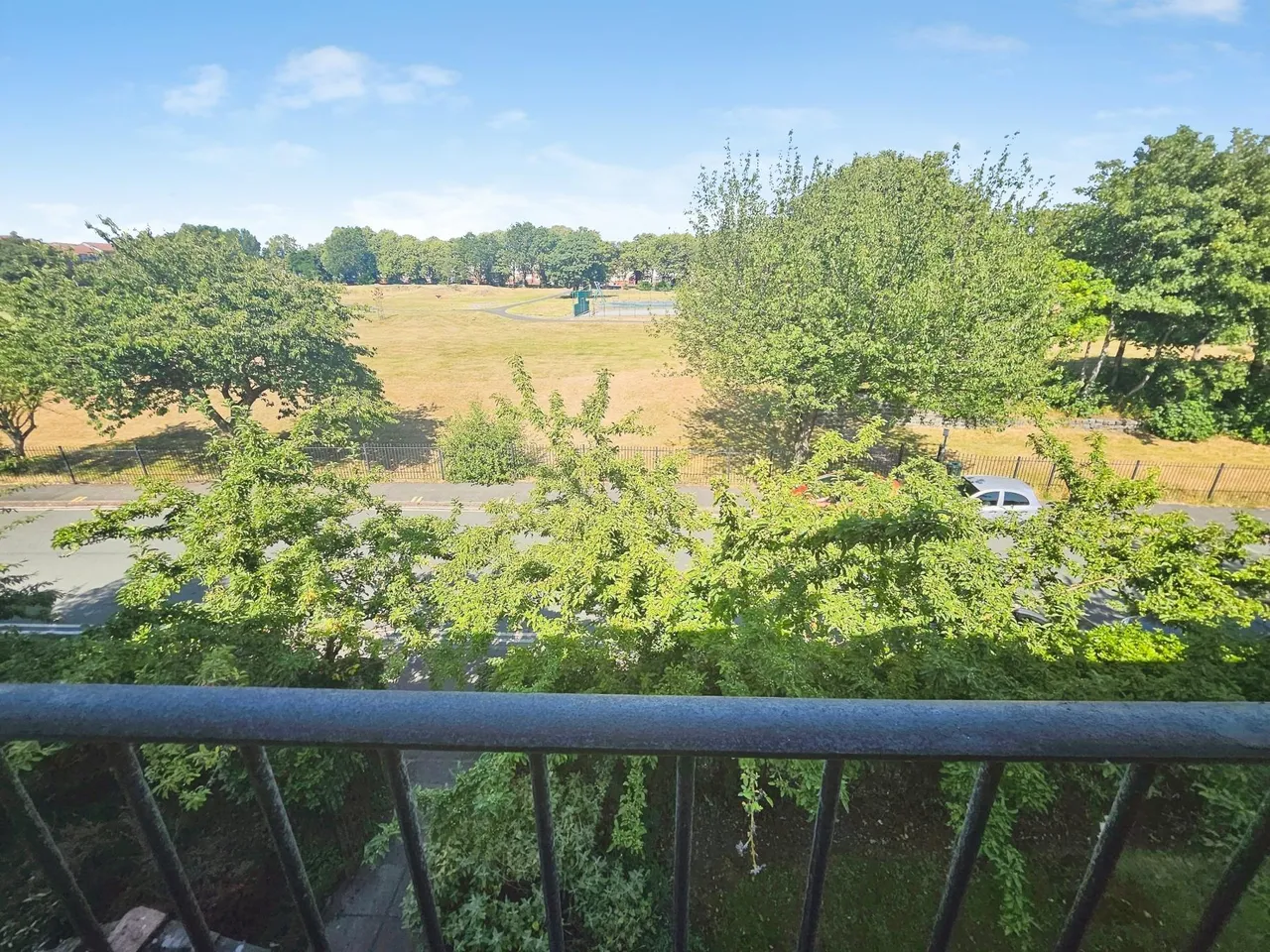 filed lane, Liverpool, L21, photo 12