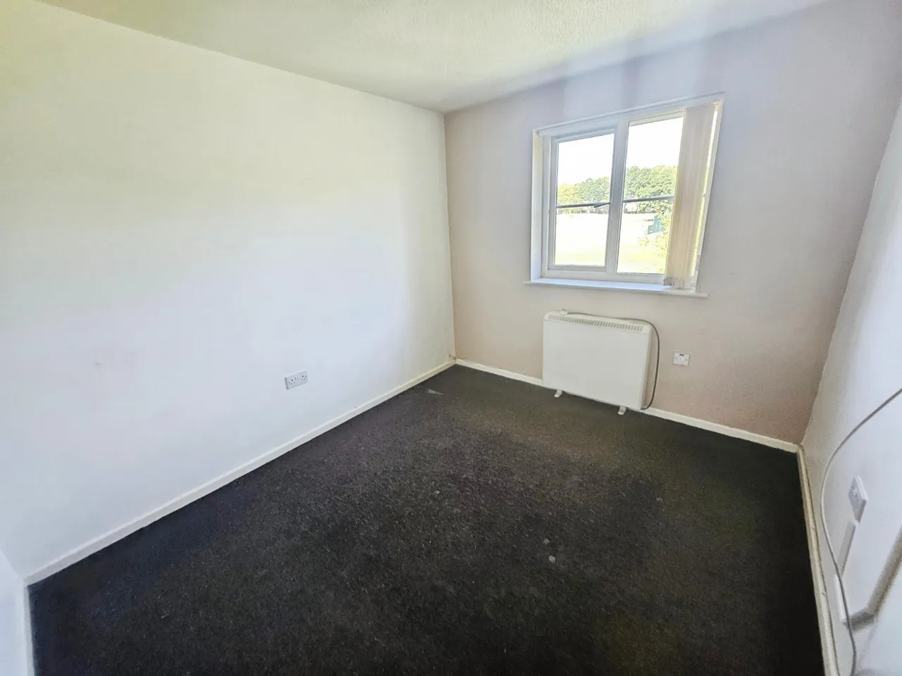 filed lane, Liverpool, L21, photo 10