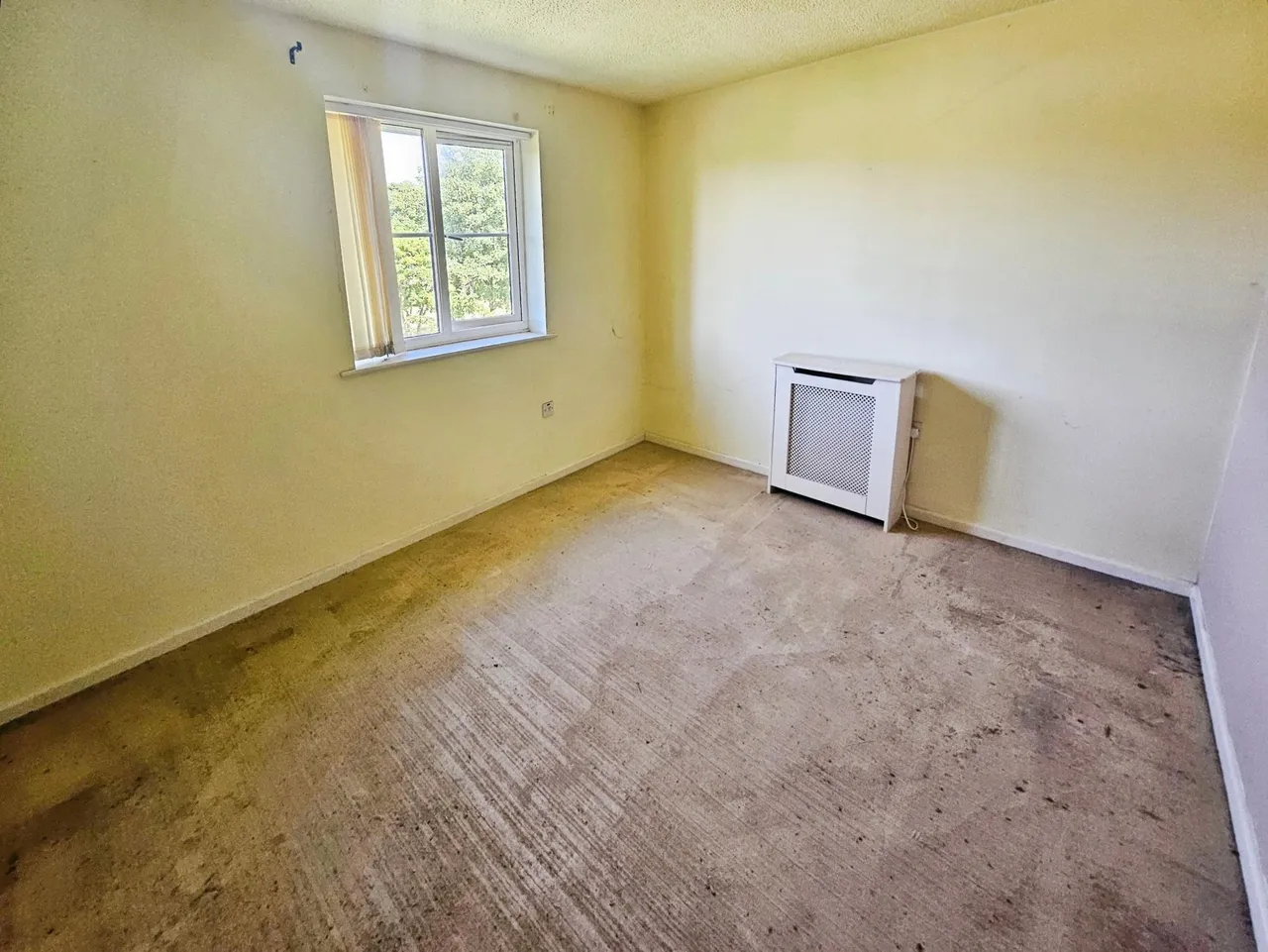 filed lane, Liverpool, L21, photo 8