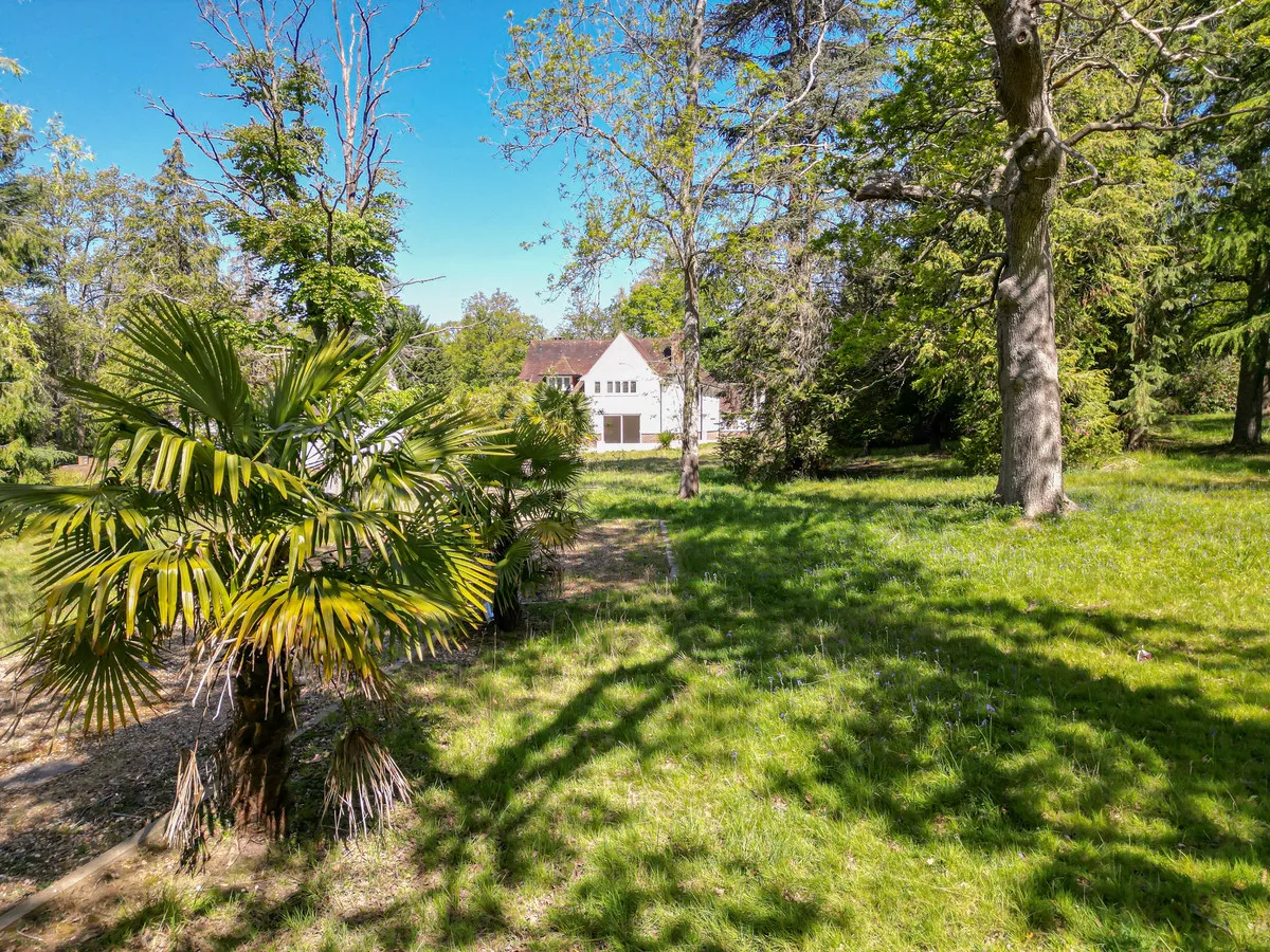 Oxshott Road, Oxshott, KT22, photo 5