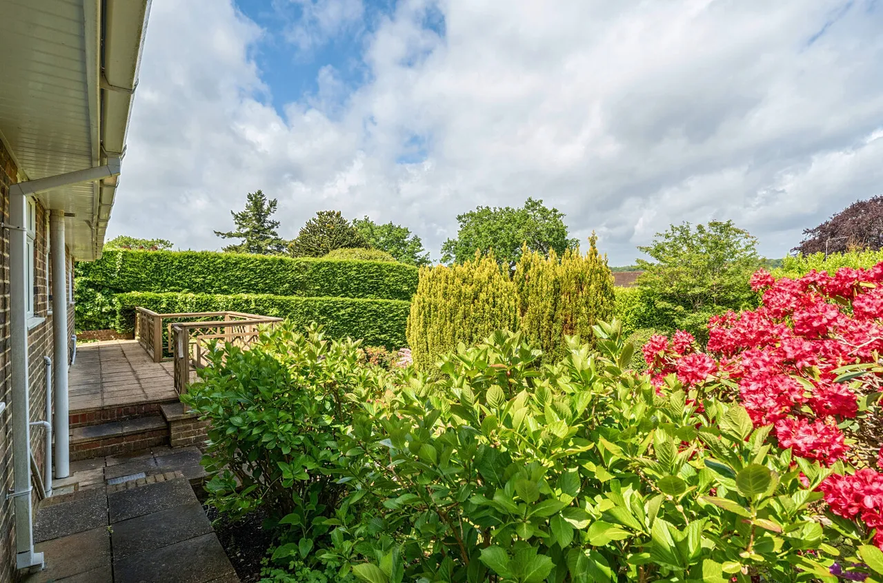 Courts Hill Road, Haslemere, GU27, photo 4