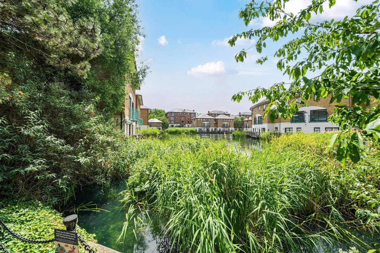 Plover Way, Canada Water, London, SE16, photo 12