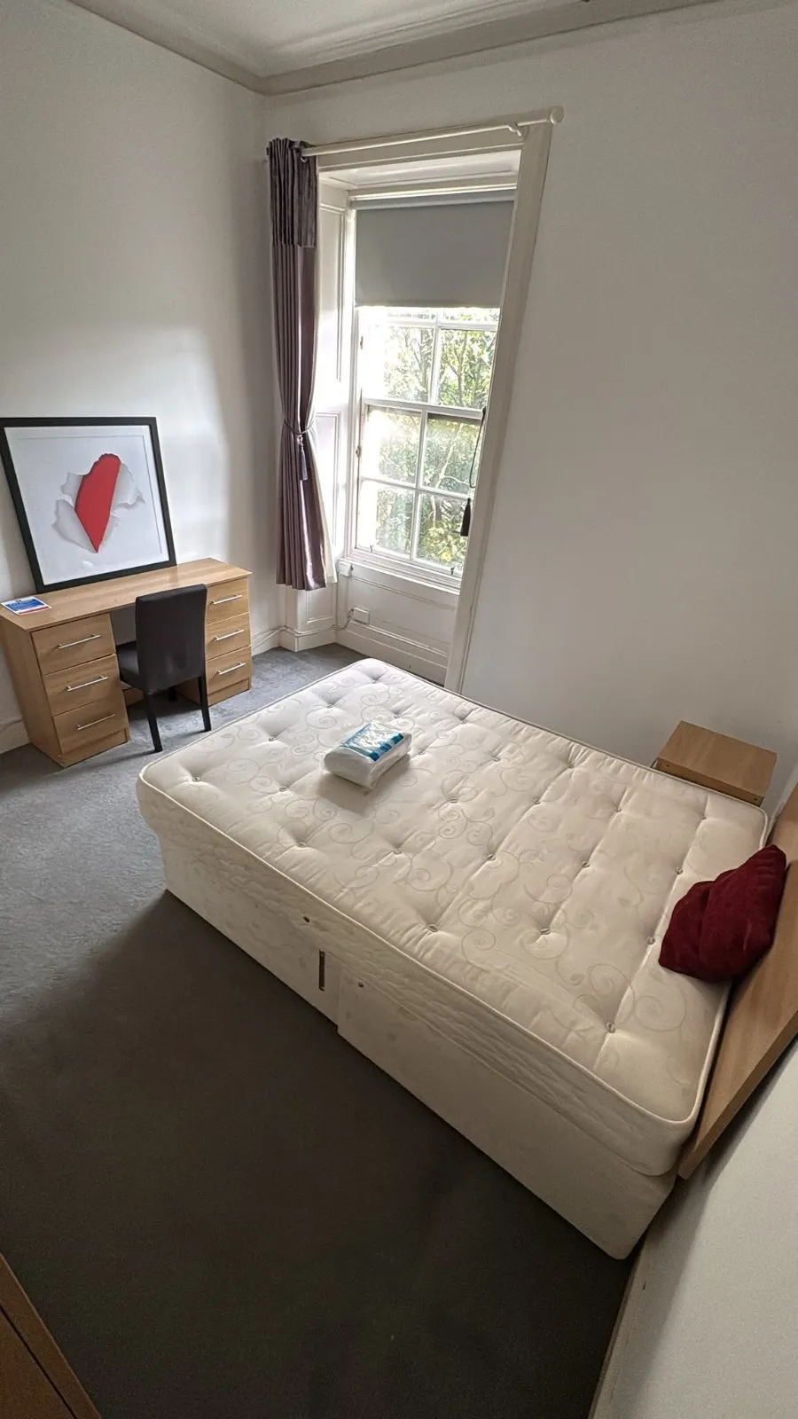 Garland Place, Dundee, DD3, photo 9