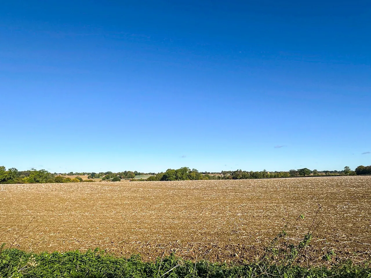 High Lane, Sheering, CM22, photo 15