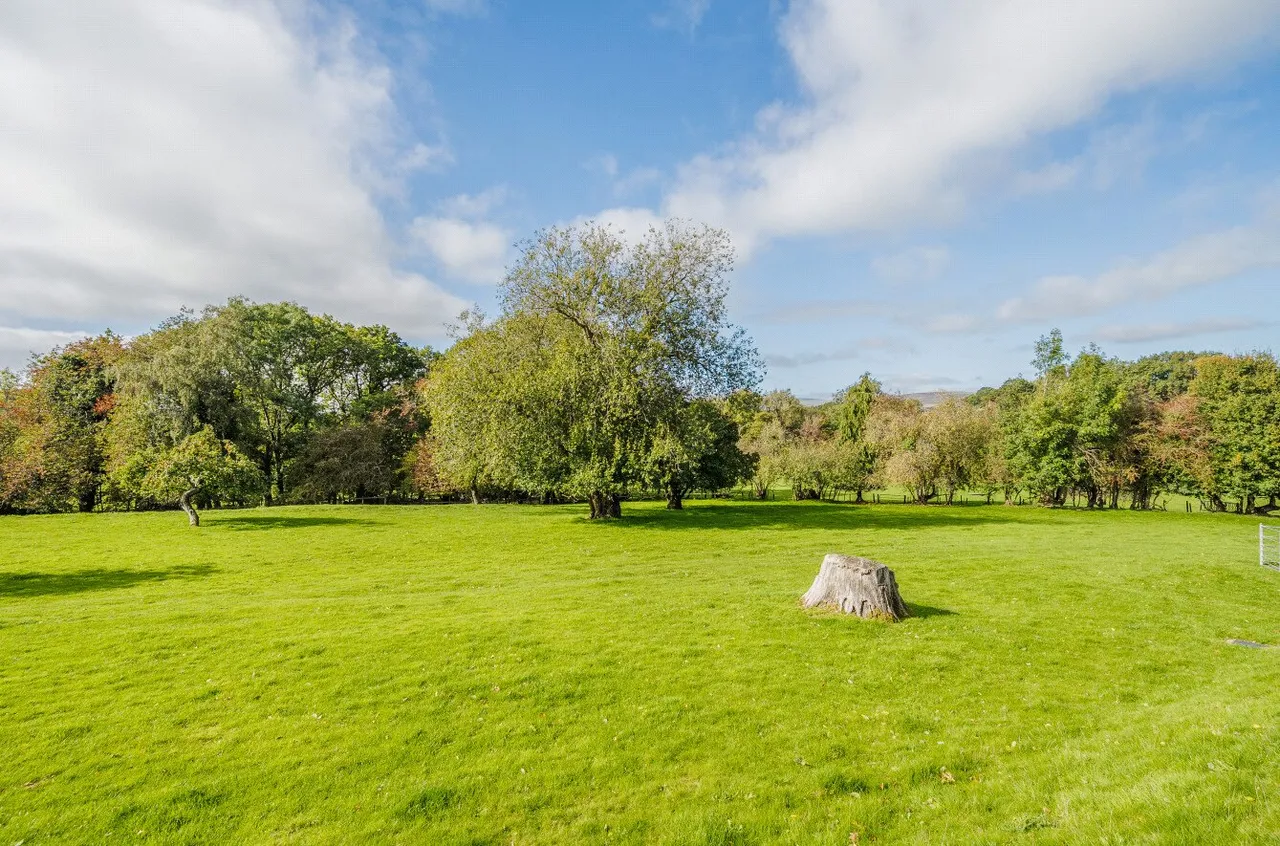 Howey, Llandrindod Wells, LD1, photo 40