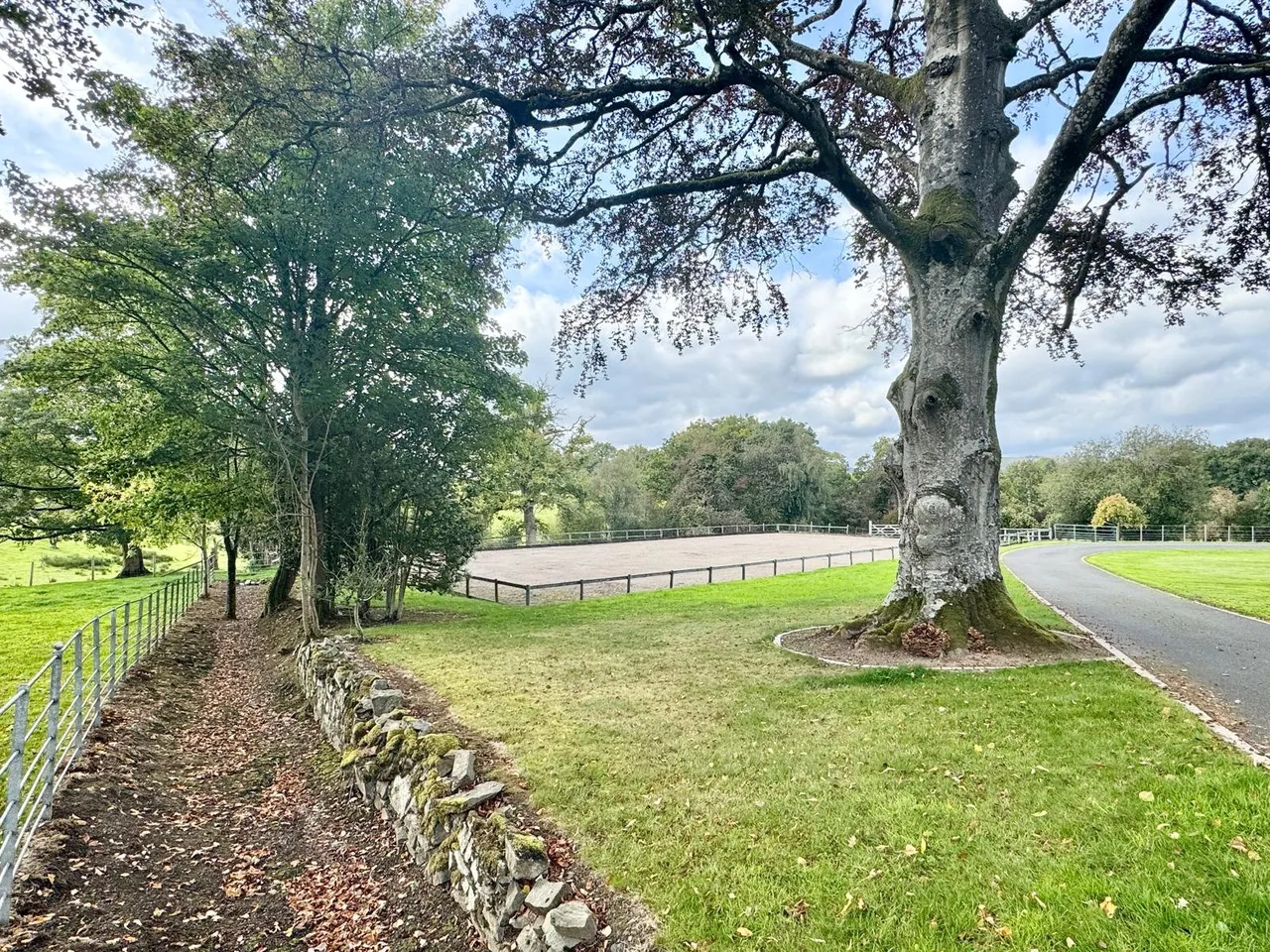 Howey, Llandrindod Wells, LD1, photo 42