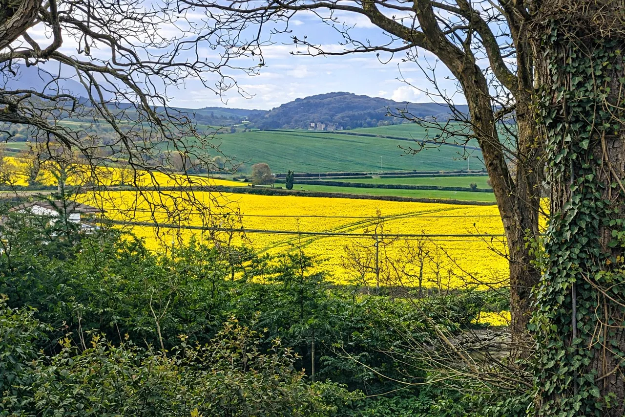 Wood Lane, Blue Anchor, TA24, photo 2