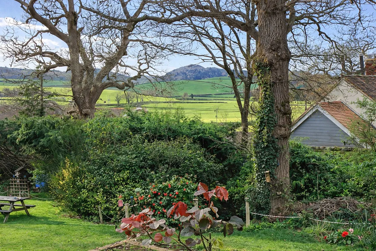 Wood Lane, Blue Anchor, TA24, photo 9