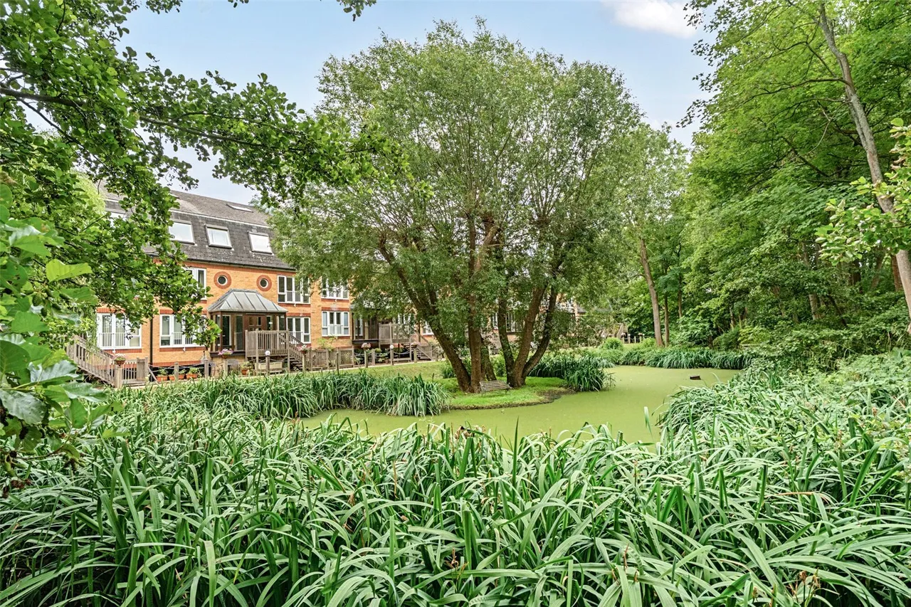 Riverside Walk, West Wickham, BR4, photo 4