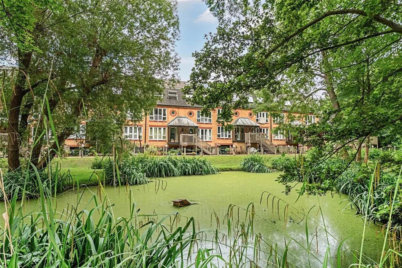 Riverside Walk, West Wickham, BR4, photo 18
