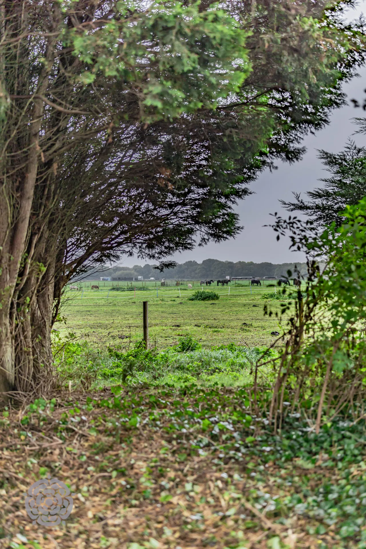 Moss Road, Cadishead, M44, photo 23