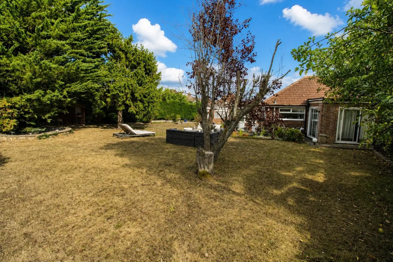 Rowney Wood, Sawbridgeworth, CM21, photo 15