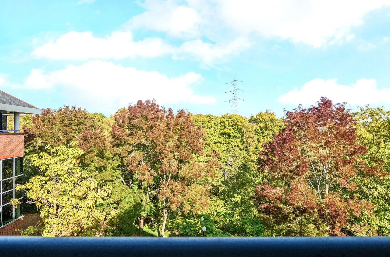 Ladymead, Guildford, GU1, photo 14