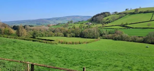 Green Acres, Clyro, HR3, photo 18