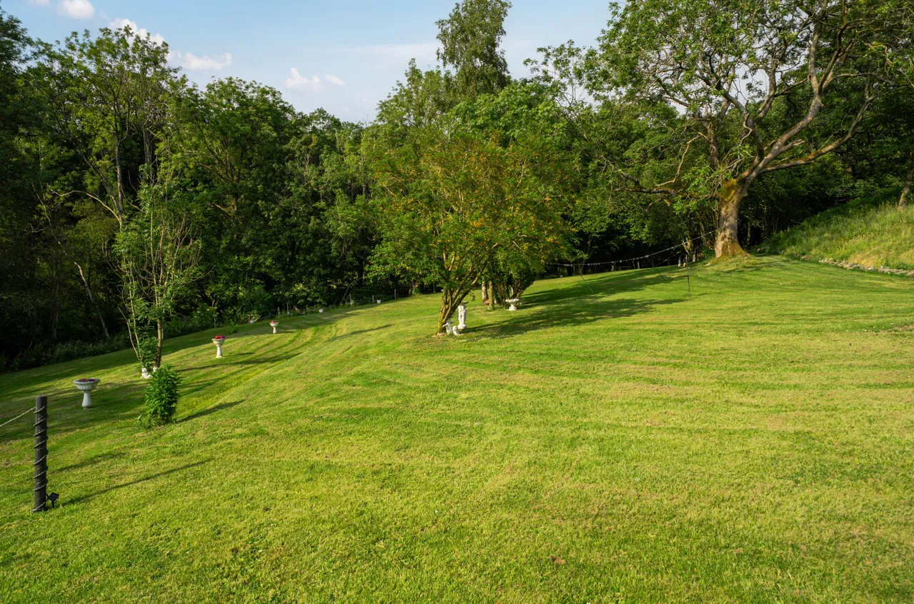 Llanfyllin, Powys, photo 48