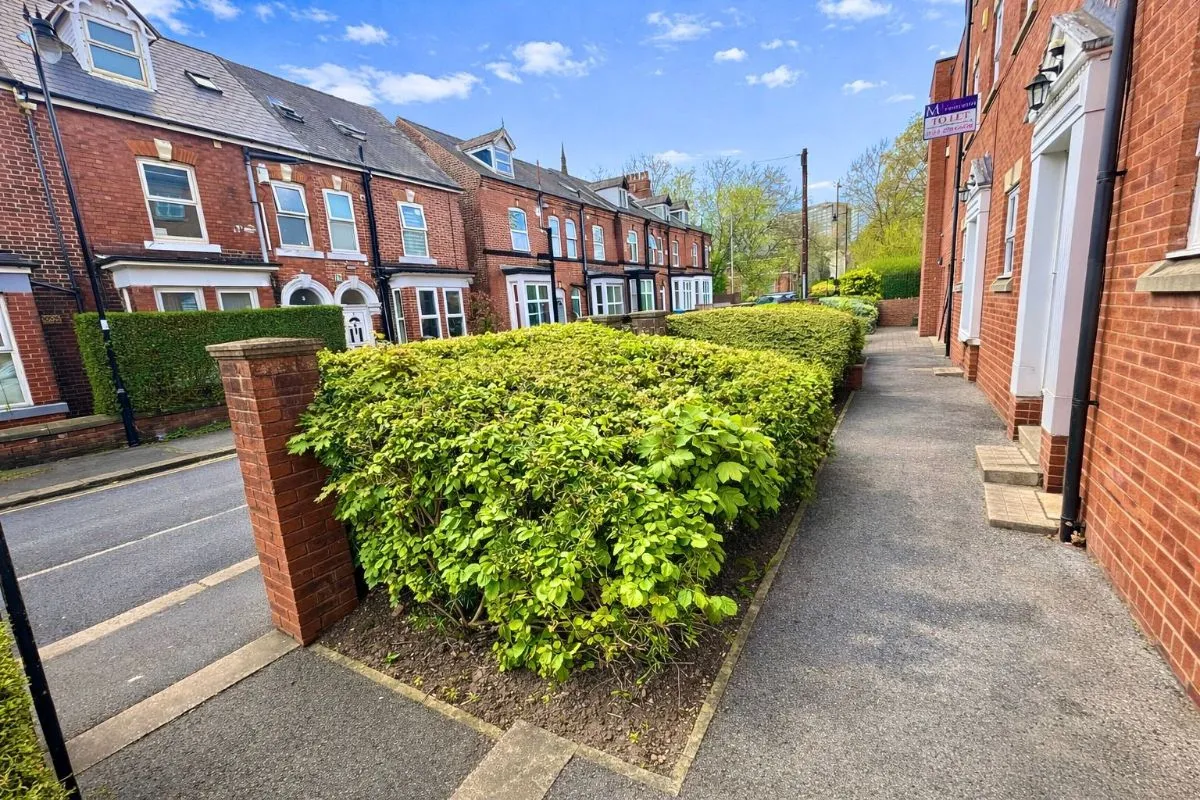 Wilkinson Street, photo 18