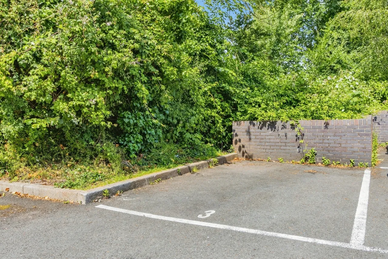 Yannons Road, Paignton, TQ4, photo 16