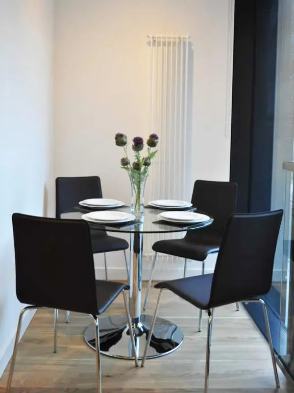 Simpson Loan, Edinburgh, EH3, photo 4